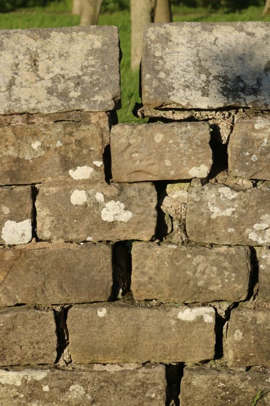 Stone Wall Repair in Elizabeth, CO